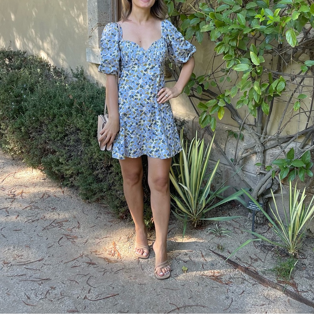 Endless rose Puff sleeve cotton dress